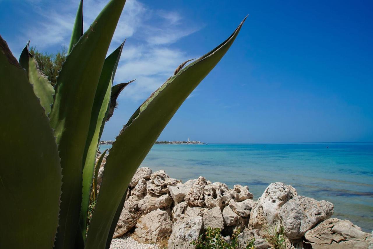 Bed and Breakfast Aurelia Sea View Torre Canne Zewnętrze zdjęcie