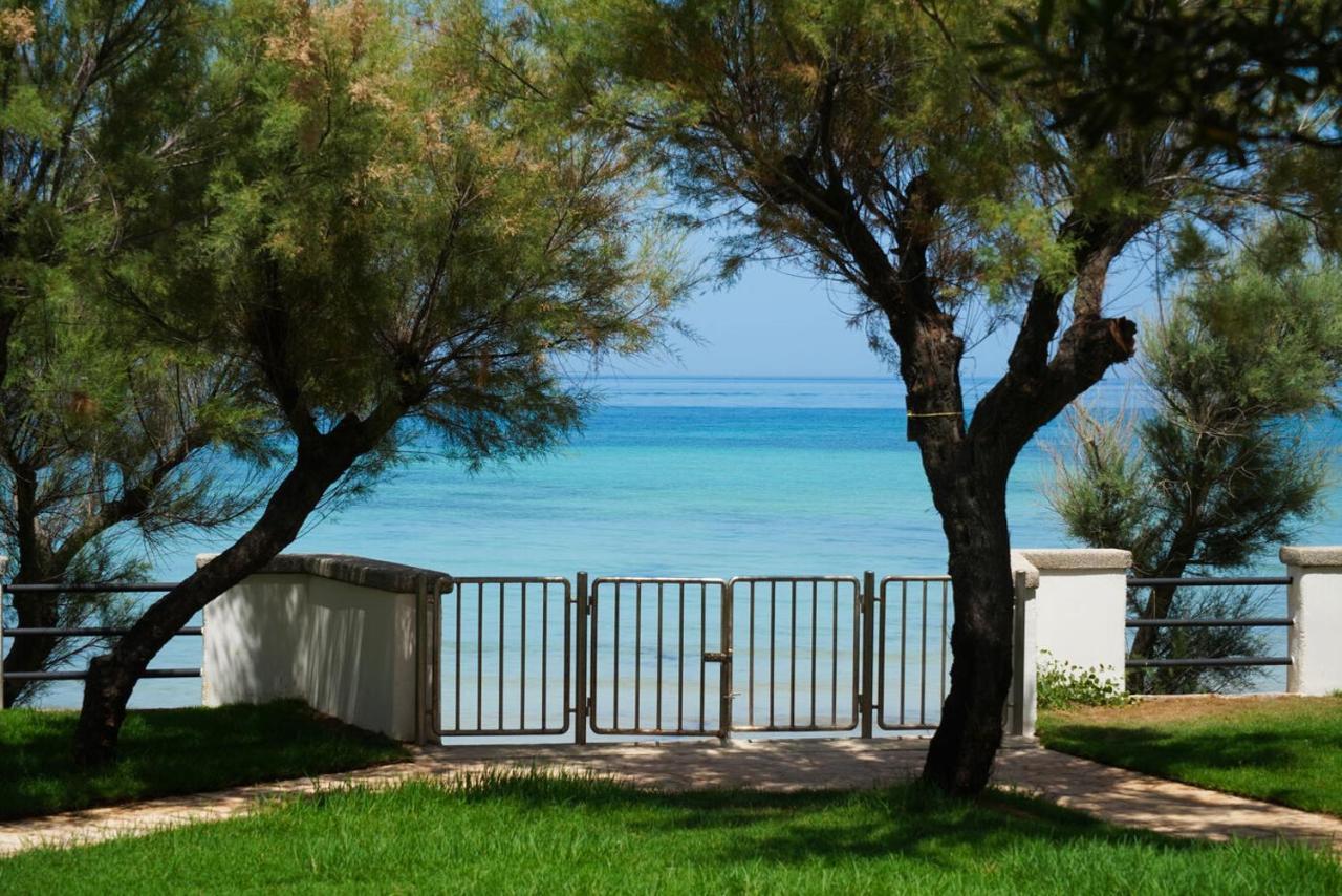Bed and Breakfast Aurelia Sea View Torre Canne Zewnętrze zdjęcie